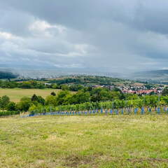 22-09-10 17-35-39 1959